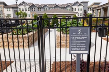Community garden